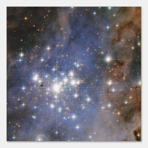 Diamond Stars in Carina Nebula Hubble Space Sign