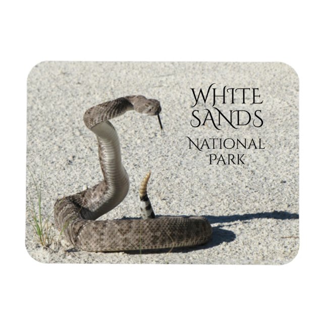 Diamondback Rattlesnake, White Sands National Magnet (Horizontal)