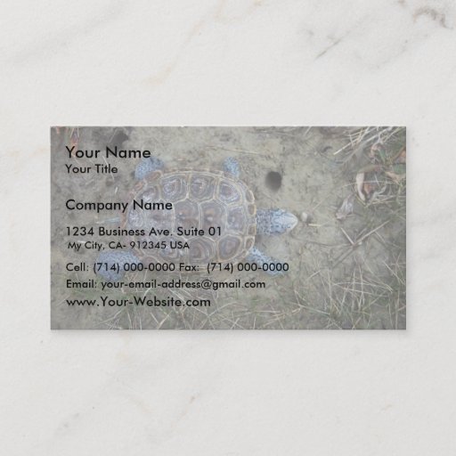 Customizable Diamondback Terrapin Business Card