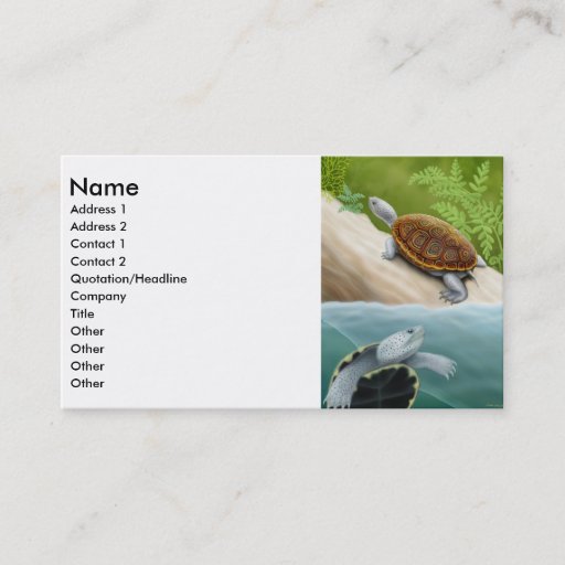 Customizable Diamondback Terrapin Business Card