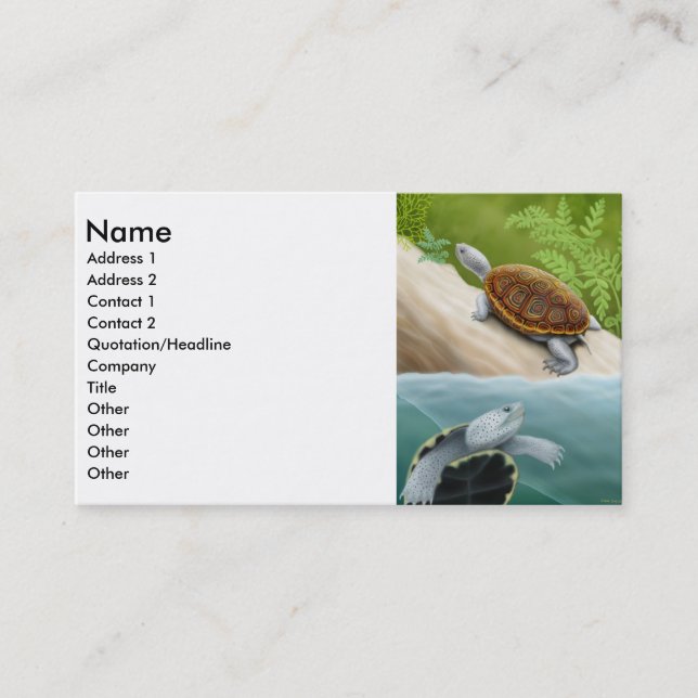 Diamondback Terrapin Business Card (Front)