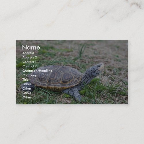 Diamondback Terrapin Business Card