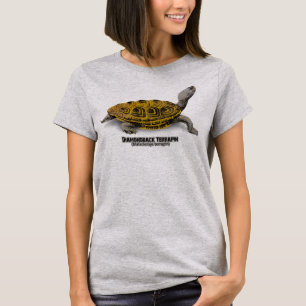 Diamondback Terrapin (Malaclemys terrapin) T-Shirt