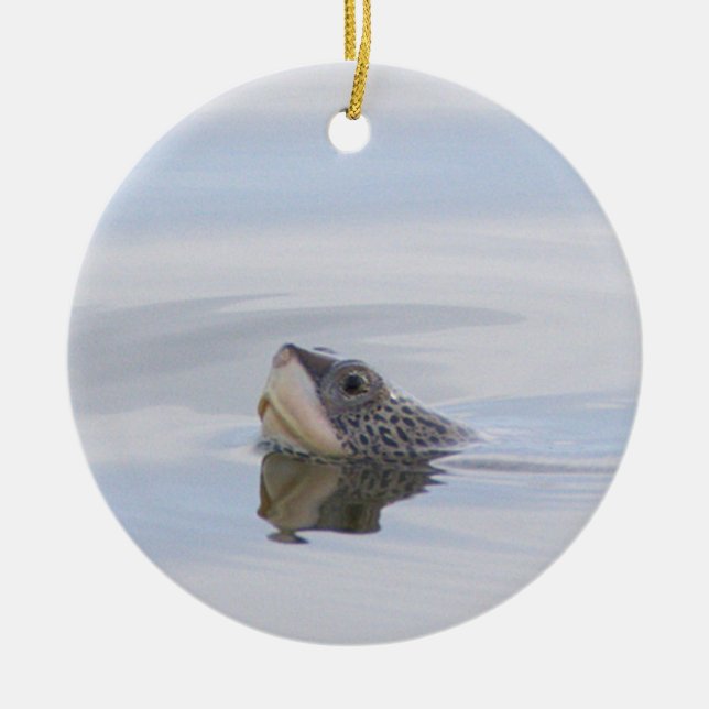 Diamondback Terrapin Turtle Face Ornament  (Front)