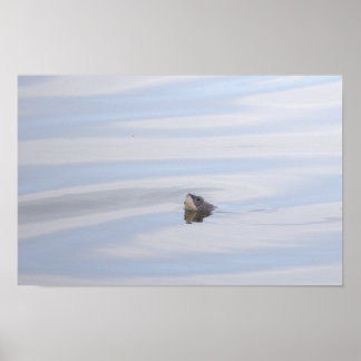 Diamondback Terrapin Turtle Face Poster