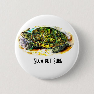 diamondback Terrapin Turtle from JungleWalk.Com Button