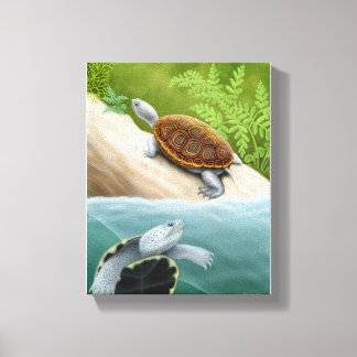 Diamondback Terrapin Turtles Wrapped Canvas Print