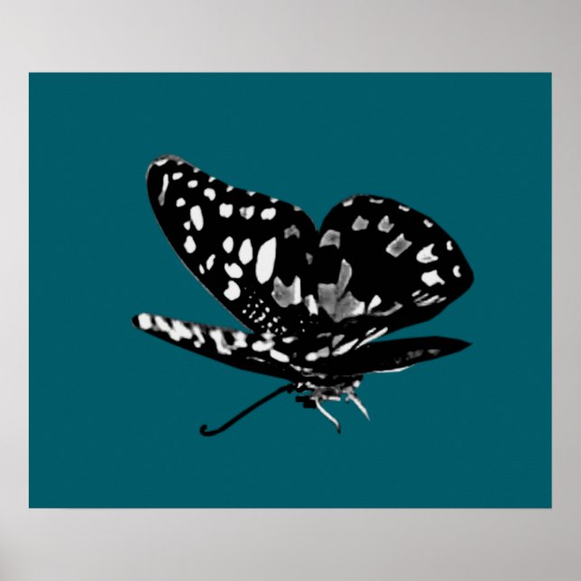Diamoned Wings Poster (Front)