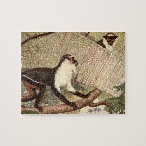 Diana Monkey by Louis Sargent Vintage Wild Animal Jigsaw Puzzle