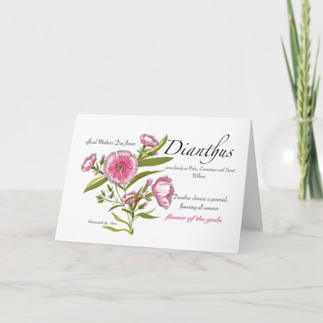 Dianthus Blank Card (Front)