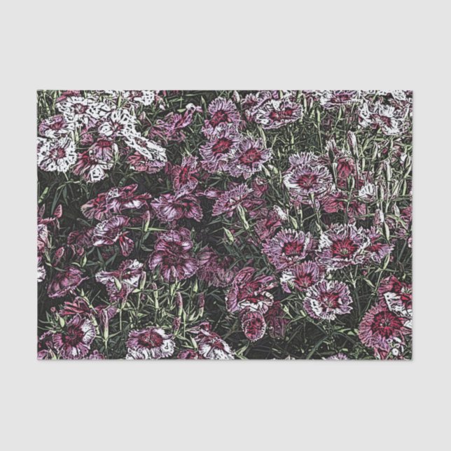 DIANTHUS TISSUE PAPER (Front)