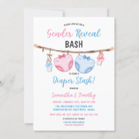 Diaper Stash Clothesline He or She Gender Reveal