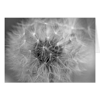 Diaphanous Cards