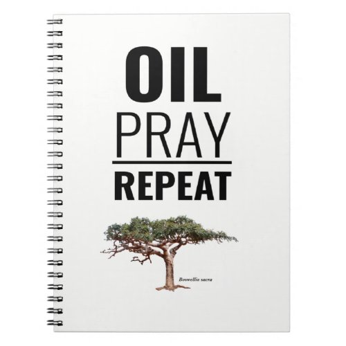 Diary all of your essential oil recipes notebook