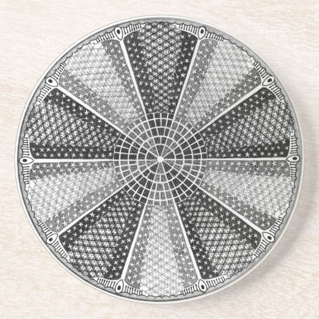 Diatom 13 Ernst Haeckel Fine Art Drink Coaster (Front)