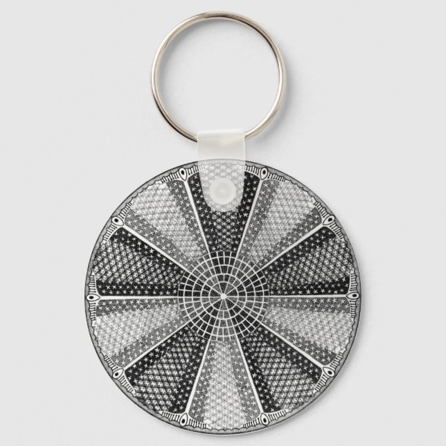 Diatom 13 Ernst Haeckel Fine Art Keychain (Front)