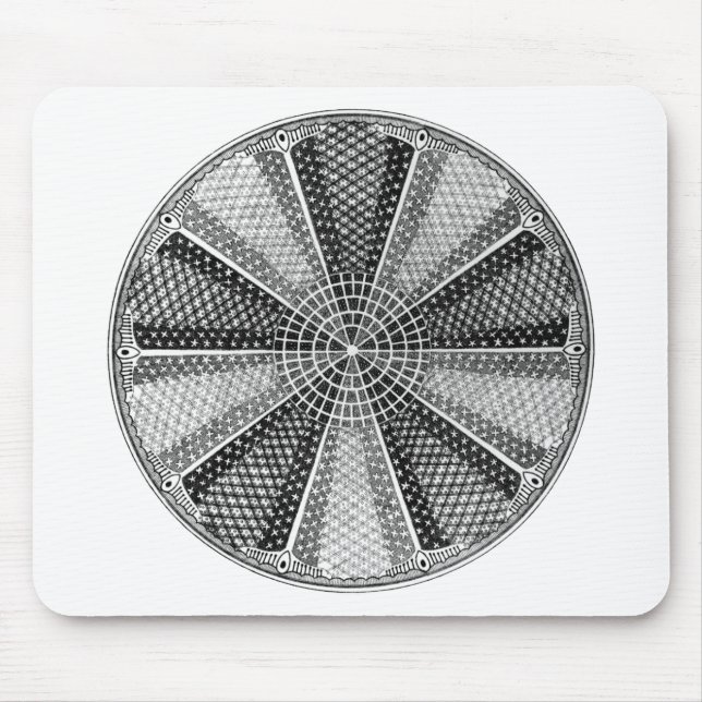 Diatom 13 Ernst Haeckel Fine Art Mouse Pad (Front)