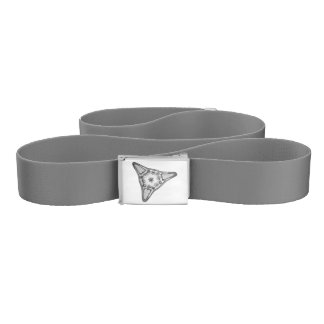 Diatom Belt