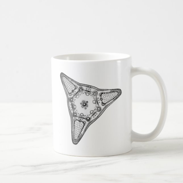 Diatom Coffee Mug (Right)