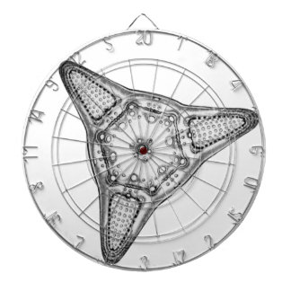 Diatom Dartboard