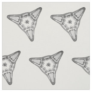 Diatom Fabric