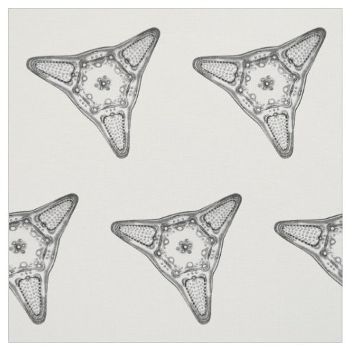 Diatom Fabric