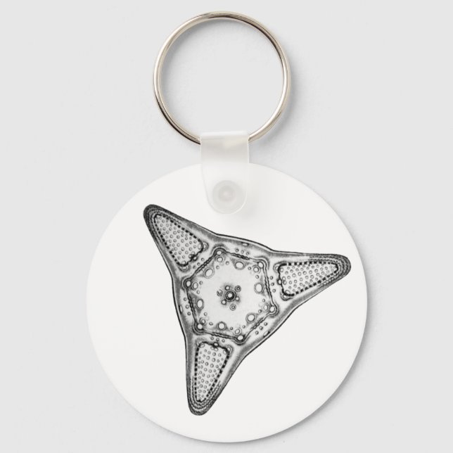 Diatom Keychain (Front)