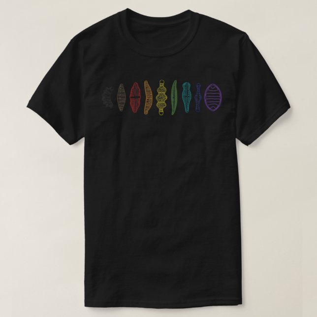 diatom morphologies lineup pride rainbow T-Shirt (Design Front)