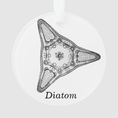 Diatom Ornament