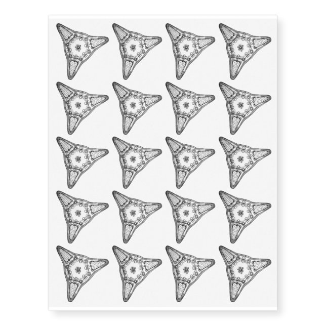 Diatom Temporary Tattoos (Front)