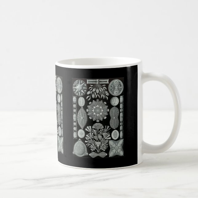 Diatoms Coffee Mug (Right)