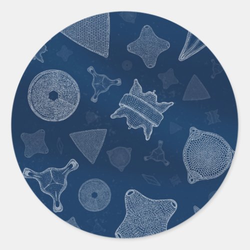 Diatoms _ microscopic sea life classic round sticker