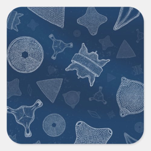 Diatoms _ microscopic sea life square sticker