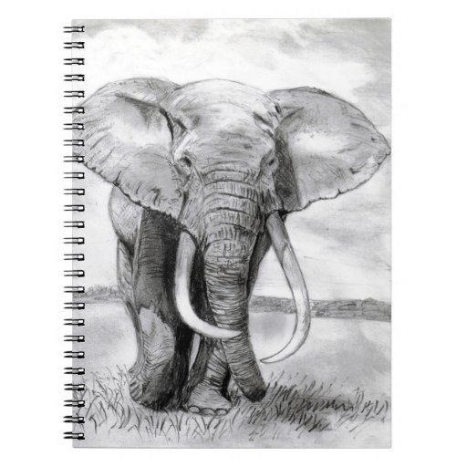 Impresión De Dibujo A Lápiz De Elefante Arte De Elefante Obra De Arte  Firmada Por El Artista Gary Tymon Tamaños Ltd Ed 50 Impresiones 