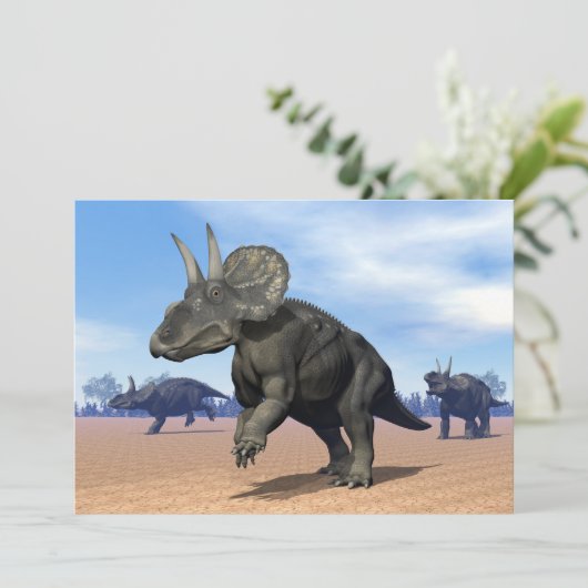 Diceratops/nedoceratops dinosaurs in the desert (Standing Front)