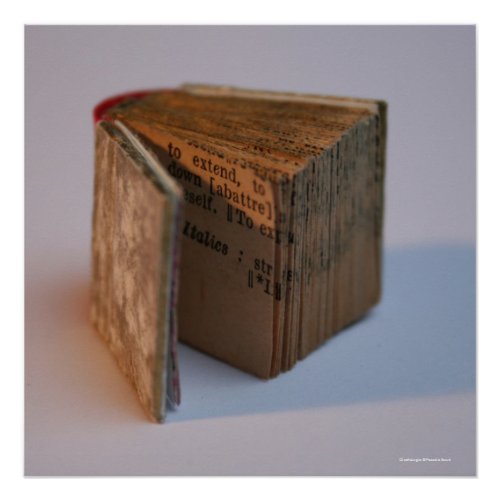 DicofrAngle English_French Miniature Book poster