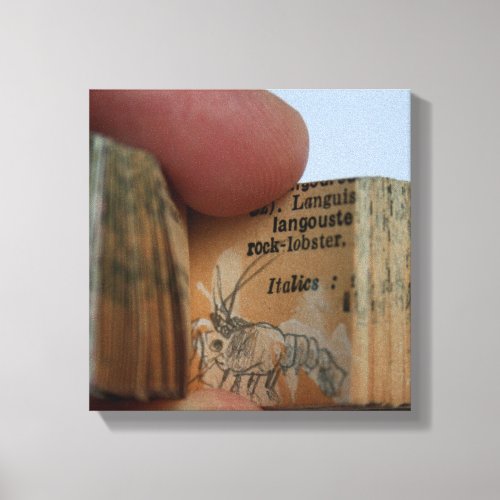 DicofrAngle Miniature Book Crayfish Drawing Canvas