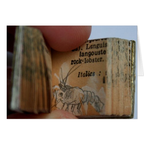 DicofrAngle Miniature Book Crayfish Drawing Card