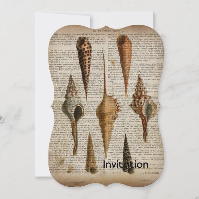 dictionary print french botanical beach seashells invitation (Front)