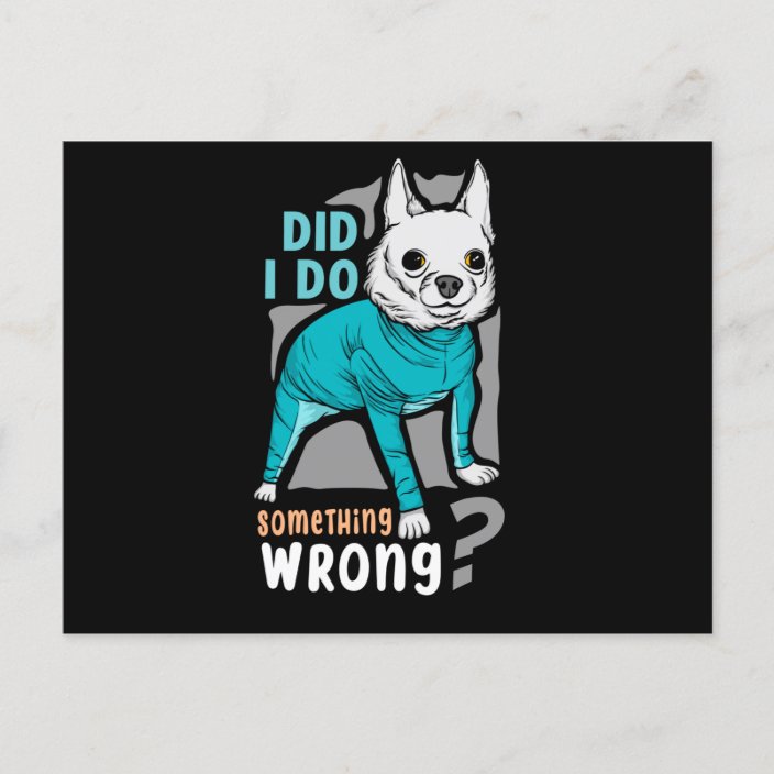 Did I Do Something Wrong. Cute dog Postcard