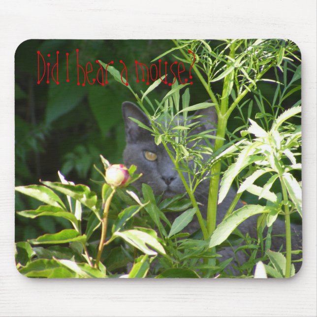Did I hear a mouse? Mouse Pad (Front)