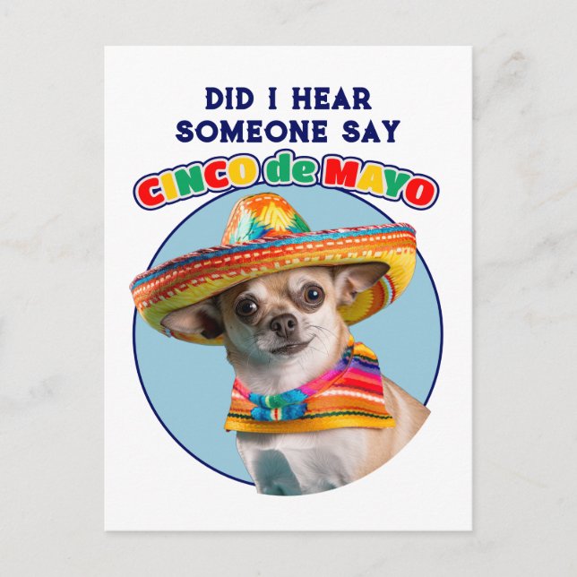 Did I Hear Cinco De Mayo Sombrero Chihuahua Holiday Postcard (Front)