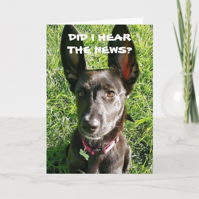 DID I 'HEAR" YOU ARE "18th" BIRTHDAY CARD (Front)