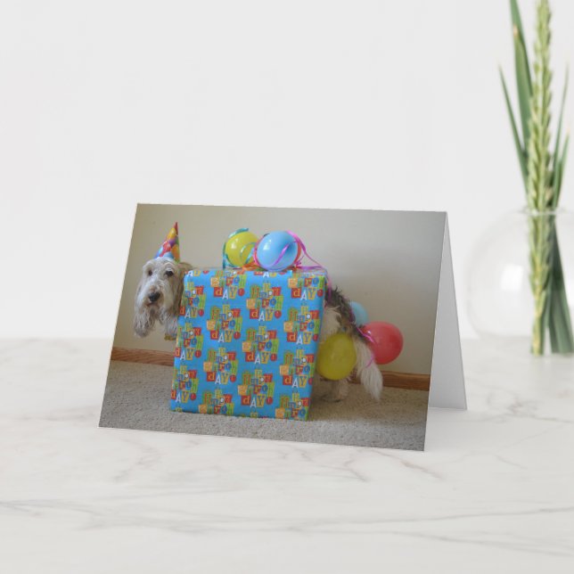 Did someone order a birthday gift? card (Front)