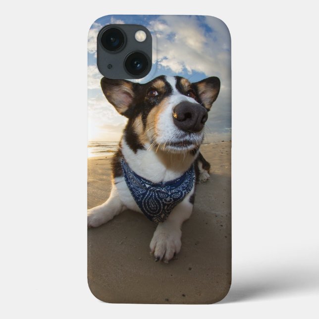 Did Someone Say Cookie? Case-Mate iPhone Case (Back)