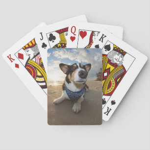 Did Someone Say Cookie? Poker Cards