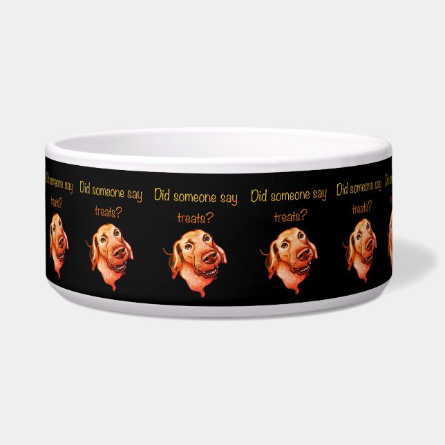 Did Someone Say Treats? Funny Dog Bowl (Front)