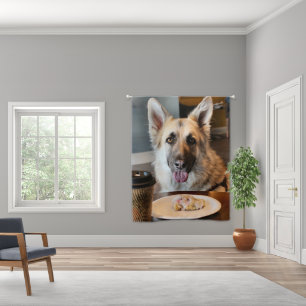 Did you  blackout curtains