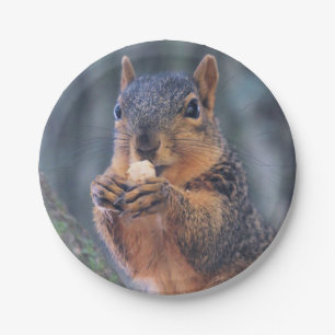 Did you bring coffee? paper plates
