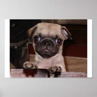 did you call? poster